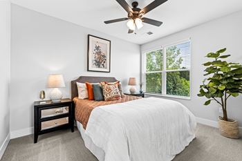 Ceiling fan