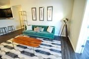Canal Winchester apartment for rent - a living room with a green couch and a cowhide rug