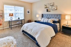 Columbus apartment for rent - the preserve at ballantyne commons bedroom with large bed and windows