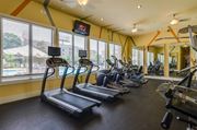 Atlanta apartment for rent - Fitness room fully equiped with cardio and strength machines as well as free weights at Ashley Auburn Pointe in Atlanta, GA