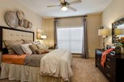 Atlanta apartment for rent - Guest Bedroom that easily fits queen size bed featuring large windows at Ashley Auburn Point in Atlanta, GA