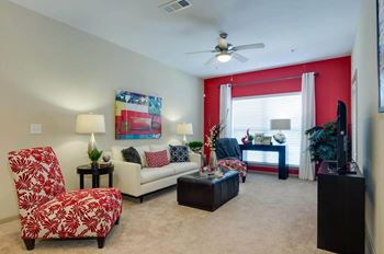 One bedroom living room