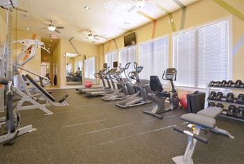 Cardio with a view