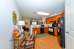 Roswell apartment for rent - A kitchen with wooden cabinets and a black fridge.