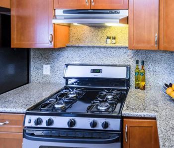 Gas range
