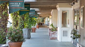 Carlmont village shopping center