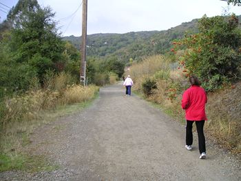 Los gatos trail