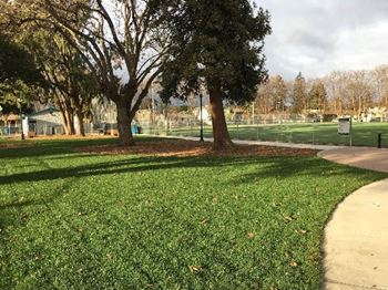 Dr. Martin luther king jr. Park and community center