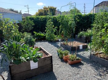 Community garden