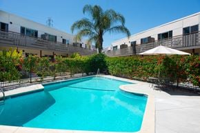 San Jose apartment for rent - A swimming pool surrounded by a fence and a palm tree.