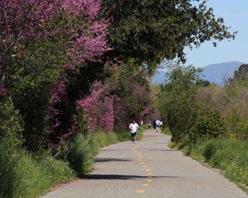 Los gatos trail