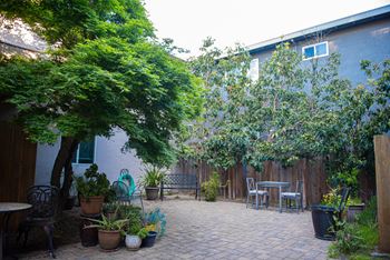 Shared courtyard space