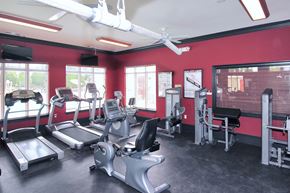 Germantown apartment for rent - A gym with treadmills, exercise bikes, and other equipment.