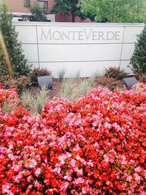 Baltimore apartment for rent - A sign that says Monteverde in front of a building.