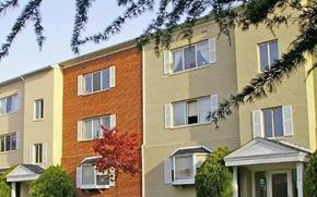Falls Church apartment for rent - A row of apartment buildings with trees in front.
