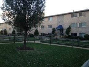 Falls Church apartment for rent - A tree in a grassy area in front of a building.