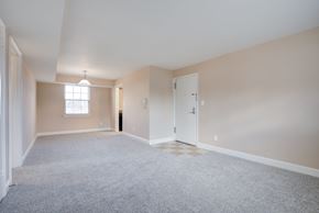Arlington apartment for rent - A room with a carpeted floor and a window.