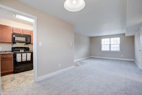 Arlington apartment for rent - A spacious living room with a carpeted floor and a window.