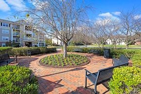 Germantown apartment for rent - A tree in a circle of plants is the focal point of a park.