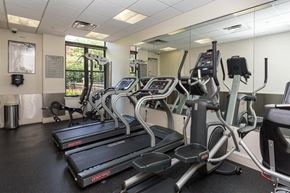 Arlington apartment for rent - A gym with treadmills and elliptical machines.