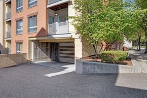 Arlington apartment for rent - A building with a tree in front of it.