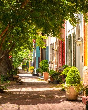 Silver Spring apartment for rent - A tree-lined brick pathway leads down a quiet street.