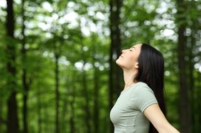 Arlington apartment for rent - A woman with long black hair is standing in a forest.