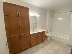 Alexandria apartment for rent - a bathroom with wooden cabinets and a toilet and a sink