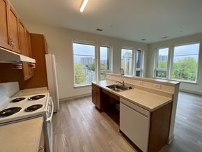 Alexandria apartment for rent - an empty kitchen with a stove and a sink