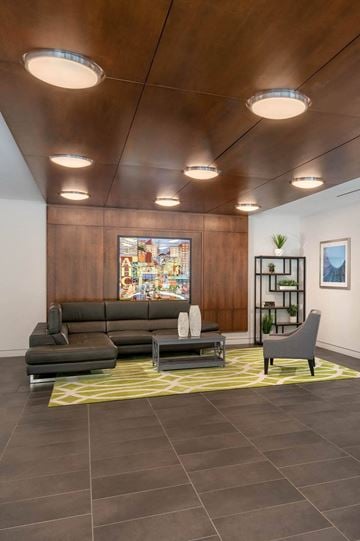 Alexandria apartment for rent - A modern living room with a grey sofa and a yellow rug.