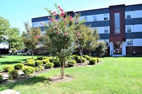 Arlington apartment for rent - A tree with red flowers in front of a building.