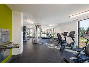 Arlington apartment for rent - Fitness Center Cardio Equipment at Apex Apartments, Arlington, VA