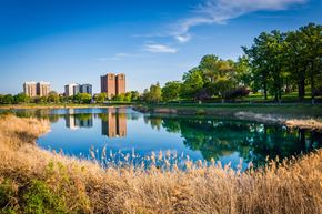 Baltimore City apartment for rent - A serene landscape with a lake, reeds, and buildings in the distance.