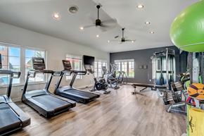 Madison apartment for rent - a gym with cardio machines and weights and a green ball