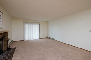 Fargo apartment for rent - a living room with a fireplace and a sliding glass door. Fargo, ND Dynasty Apartments