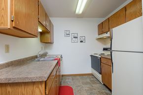 Fargo apartment for rent - Kitchen with wooden cabinets and a sink and a refrigerator, Oak Court Apartments, Fargo 