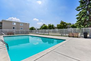 Little Canada apartment for rent - Little Canada, MN Montreal Courts Apartments, A swimming pool