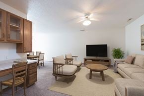 Bismarck apartment for rent - Bismarck Pebble Creek Apartments. The spacious living room is tastefully decorated with stylish furniture, ample natural light, and a cozy atmosphere. Theres overhead lighting with a touch of natural light from the dining room.