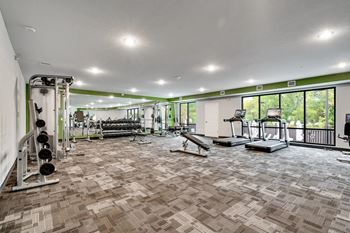 Circle pines, mn lexington lofts | fitness center