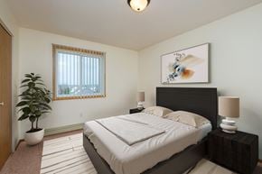 Fargo apartment for rent - a bedroom with a bed and a potted plant and a window. Fargo, ND Maybrook Apartments