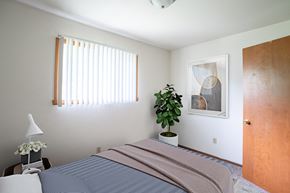 Fargo apartment for rent - a bedroom with a bed and a plant. Fargo, ND Luxford Apartments