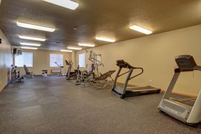 West Fargo apartment for rent - A gym with cardio equipment and weights on the floor. West Fargo, ND West Lake Apartments.