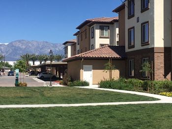 Bbq area and outdoor fireplace