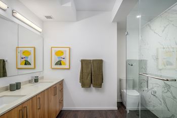 Frameless glass showers