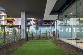 Indoor & outdoor yoga studios