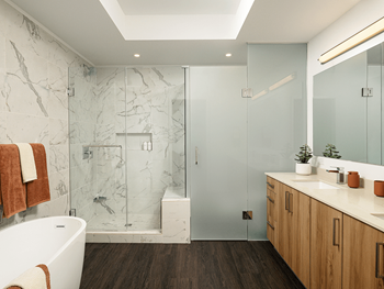 Frameless glass showers