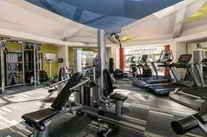 Denver townhouse for rent - a gym with weights and cardio equipment on the floor and a window