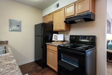 Aurora apartment for rent - a kitchen with black appliances and wooden cabinets and a black refrigerator