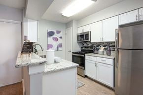 Tampa apartment for rent - Arbour Ponds apartments in Tampa sequoia floor plan kitchen 1x1 750 sq ft