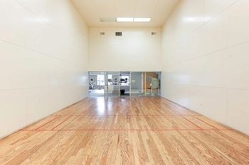 Volleyball & racquetball court